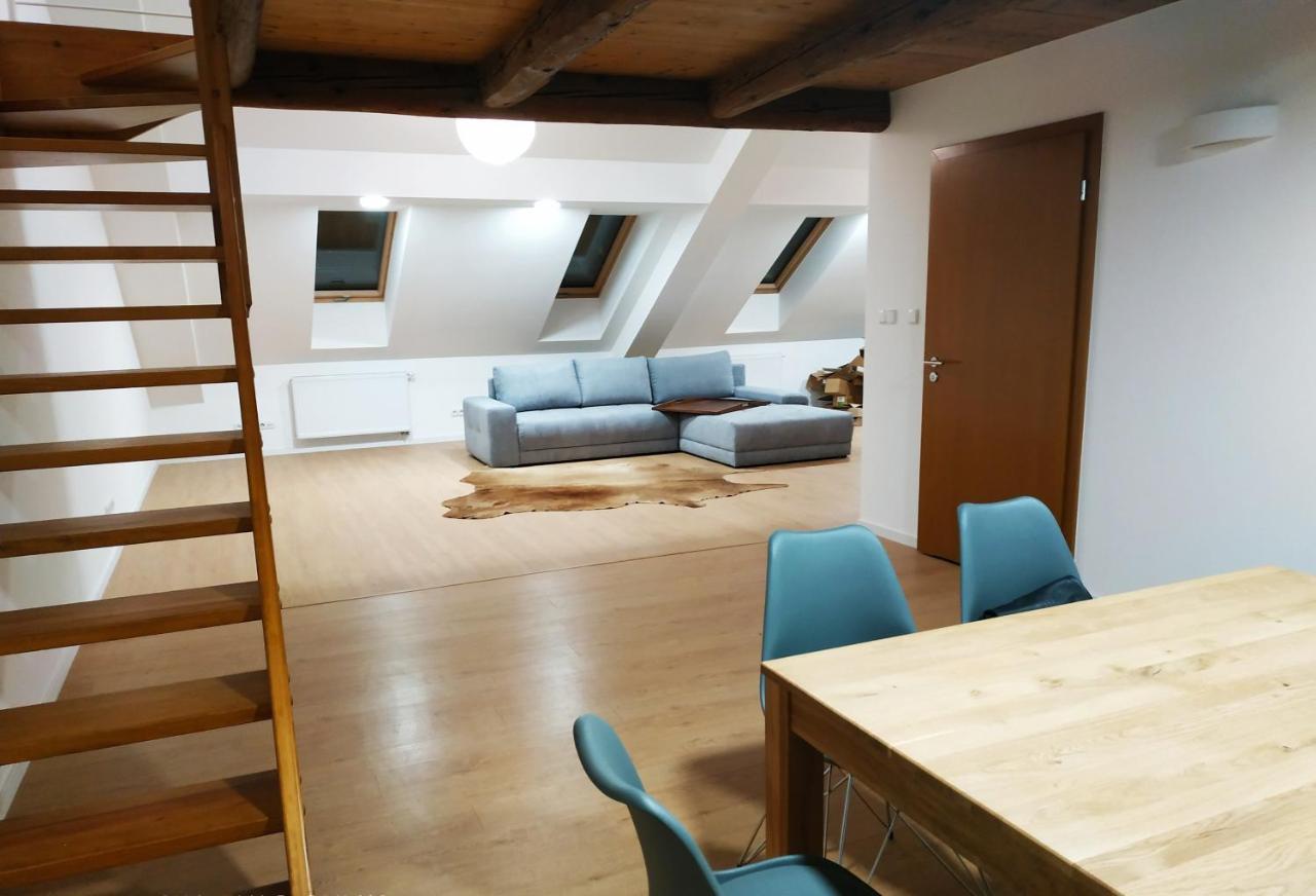 Apartament"Nad Niwka 6" Z Zamykanym Bezplatnym Parkingiem Bílsko-Bělá Exteriér fotografie