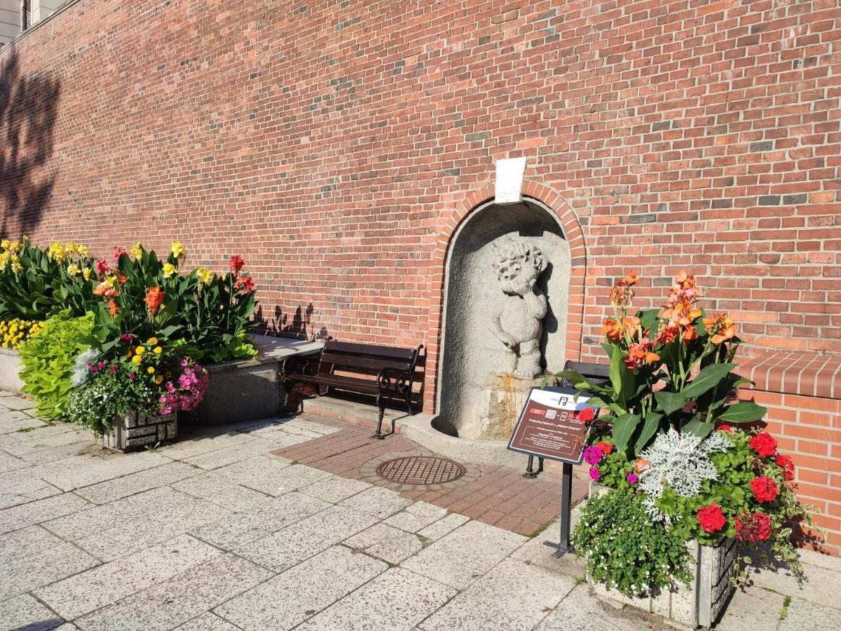 Apartament"Nad Niwka 6" Z Zamykanym Bezplatnym Parkingiem Bílsko-Bělá Exteriér fotografie
