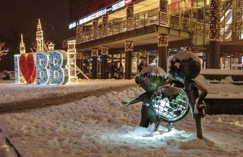 Apartament"Nad Niwka 6" Z Zamykanym Bezplatnym Parkingiem Bílsko-Bělá Exteriér fotografie